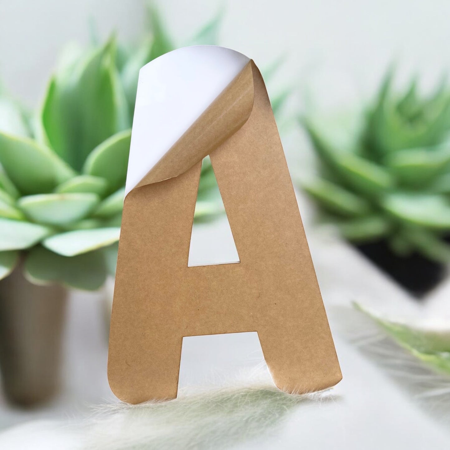 A5 Acrylic Letter