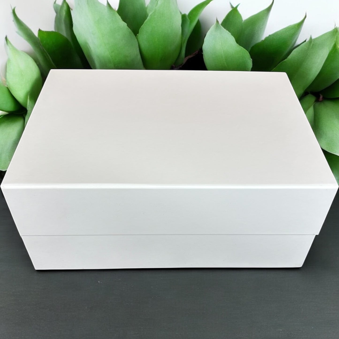 Deep White Magnetic Box