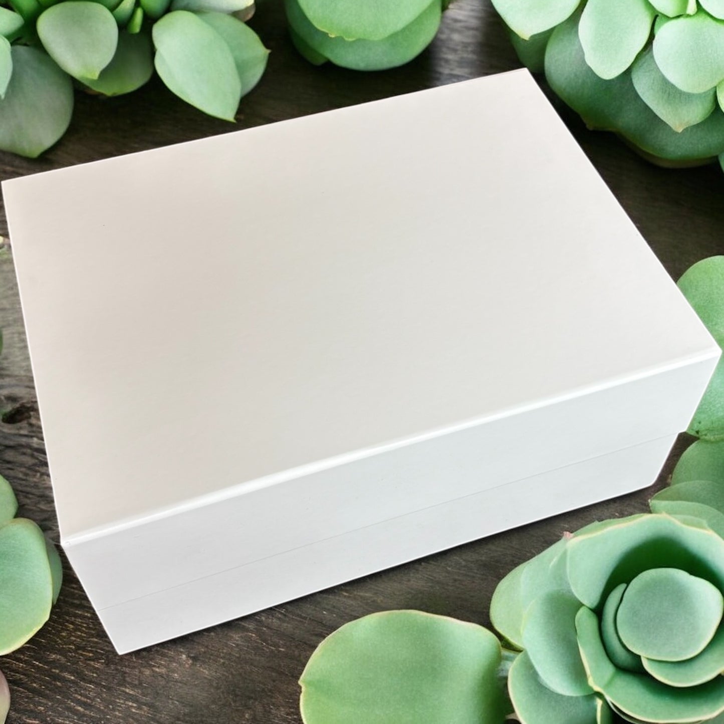 Deep White Magnetic Box