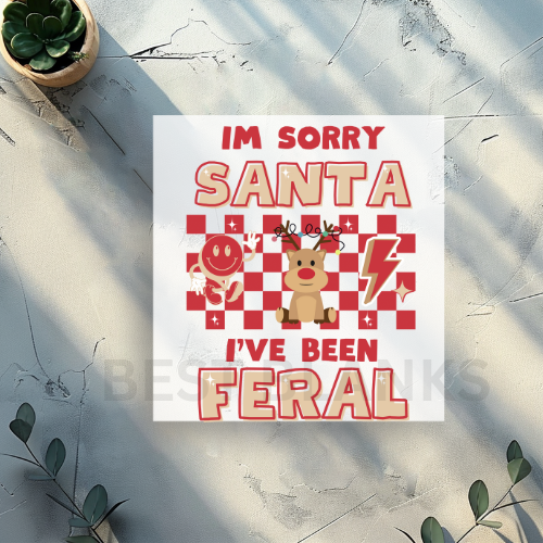 Sorry Santa I’ve Been Feral DTF